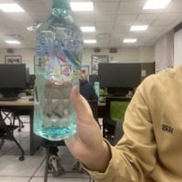 Dataset Image