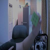 Dataset Image
