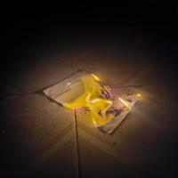 Dataset Image