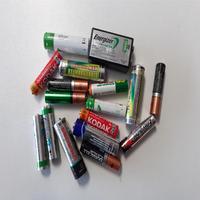 Dataset Image