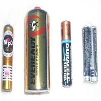 Dataset Image