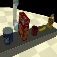 Dataset Image