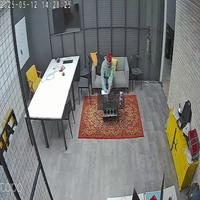 Dataset Image