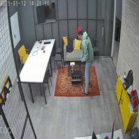 Dataset Image
