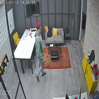 Dataset Image