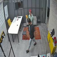 Dataset Image