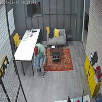 Dataset Image