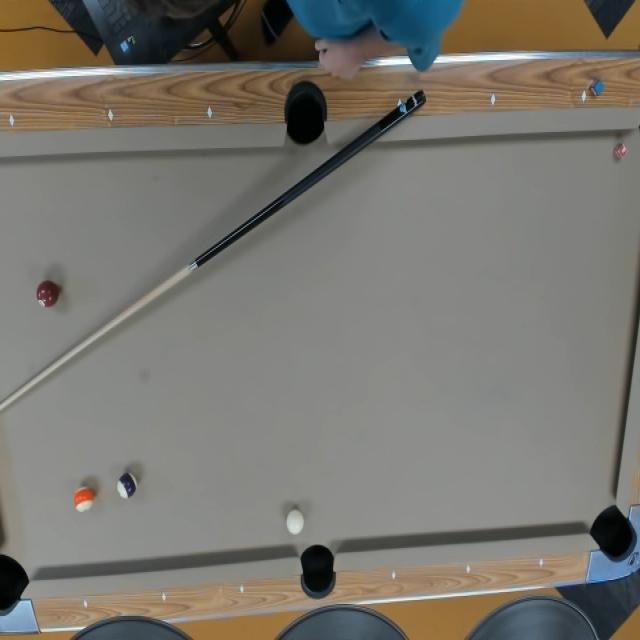 Dataset Image