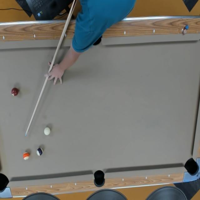 Dataset Image
