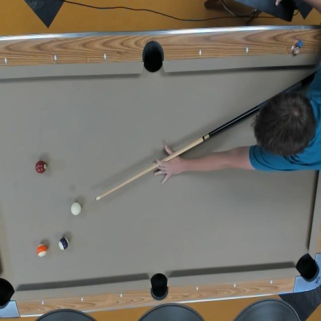 Dataset Image