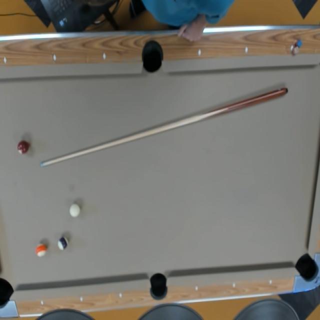 Dataset Image