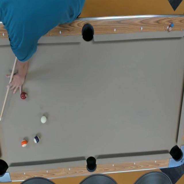 Dataset Image