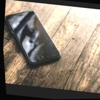 Dataset Image