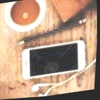 Dataset Image
