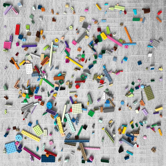 Dataset Image
