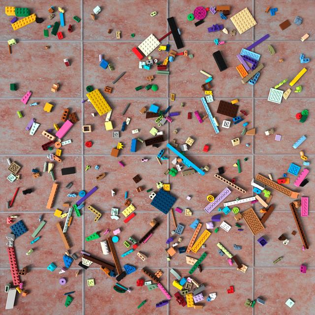 Dataset Image