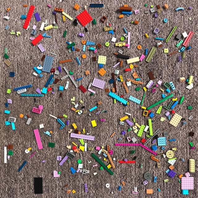 Dataset Image