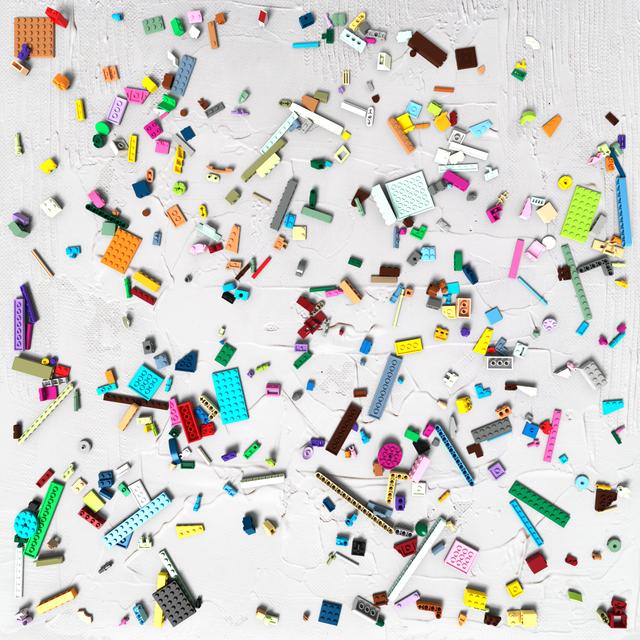Dataset Image