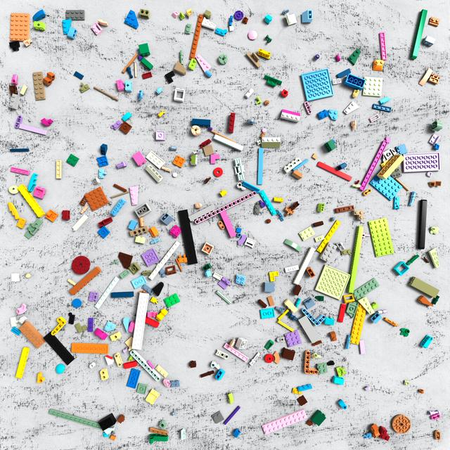 Dataset Image