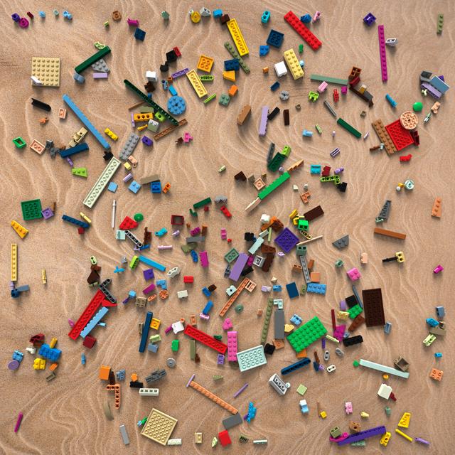 Dataset Image