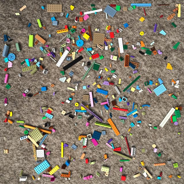 Dataset Image