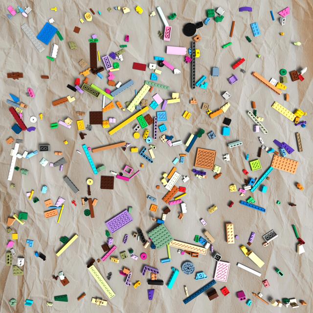 Dataset Image