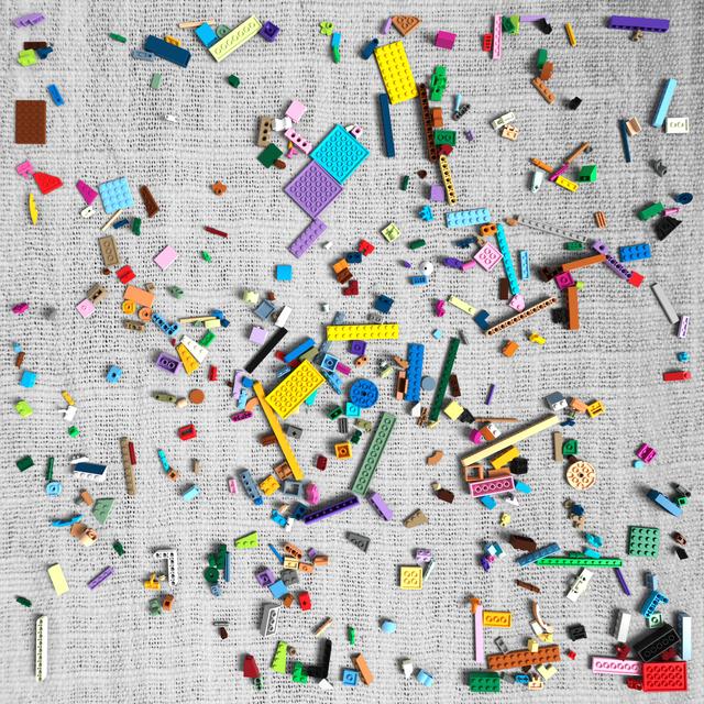 Dataset Image