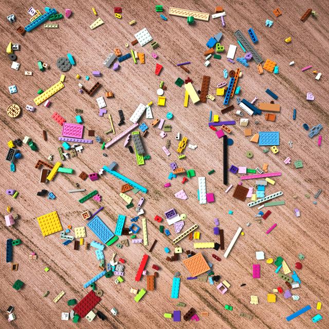Dataset Image