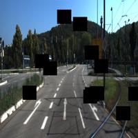 Dataset Image