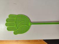 Dataset Image