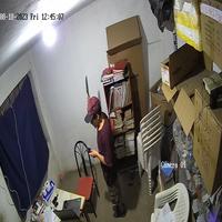 Dataset Image