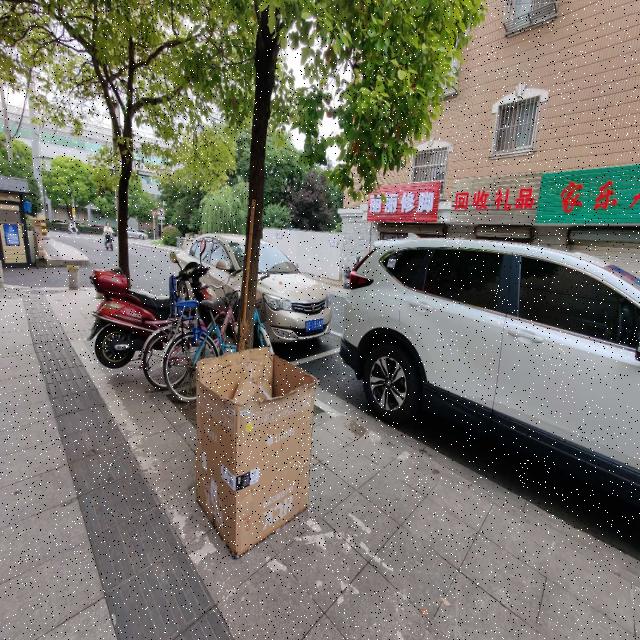 Dataset Image