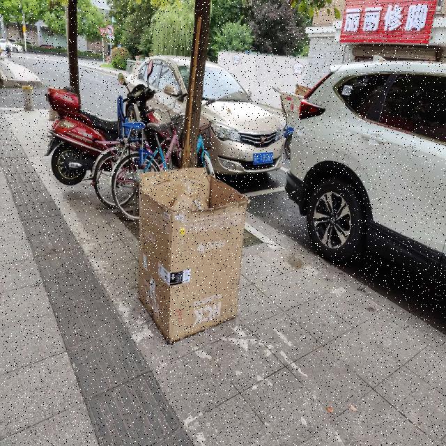 Dataset Image