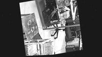 Dataset Image