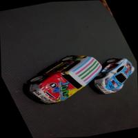 Dataset Image