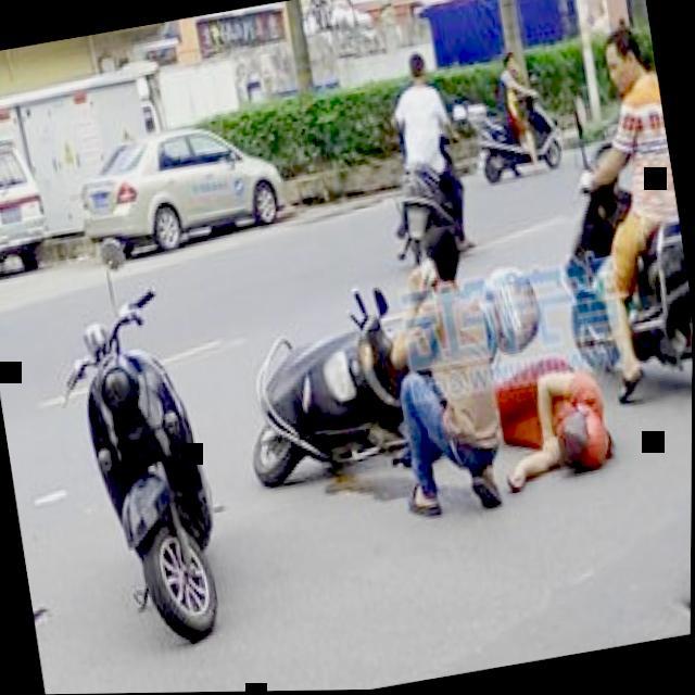 Dataset Image