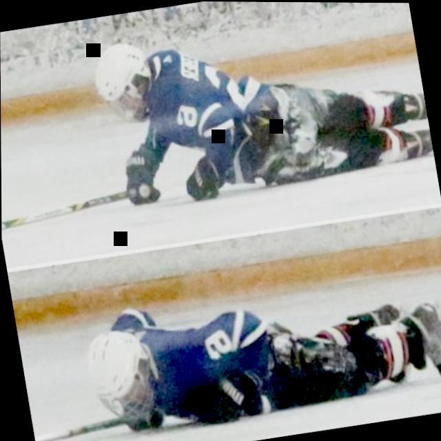 Dataset Image