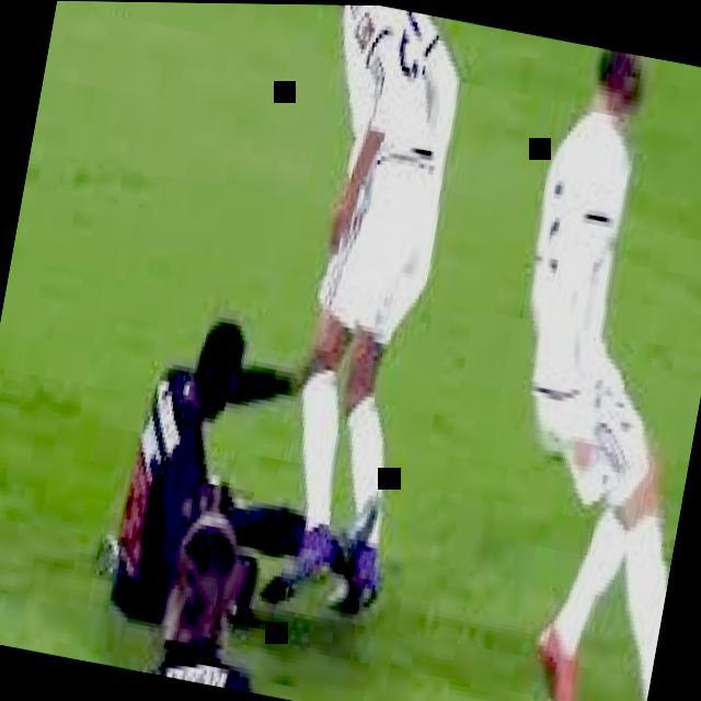 Dataset Image