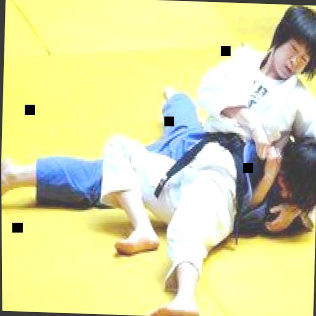 Dataset Image