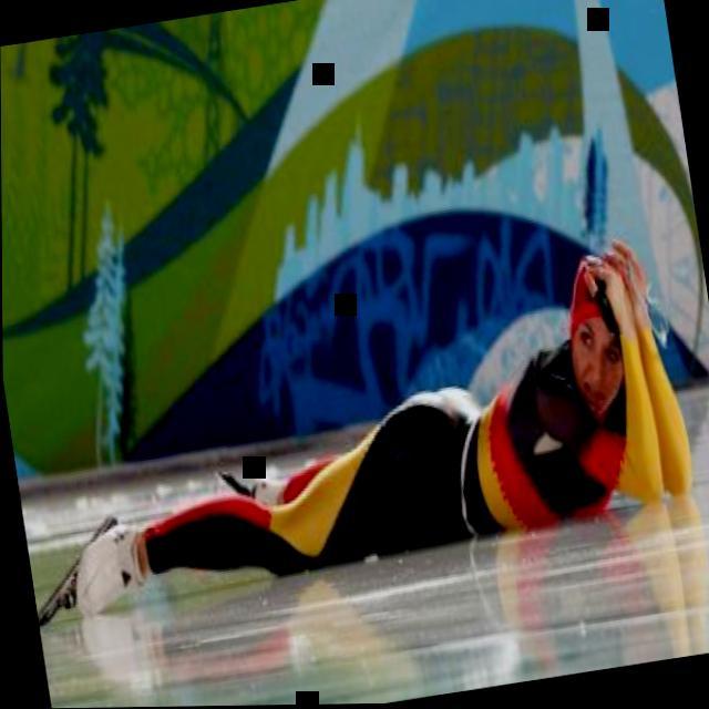 Dataset Image