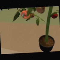 Dataset Image