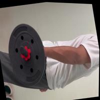 Dataset Image