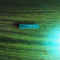 Dataset Image
