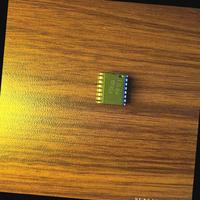 Dataset Image