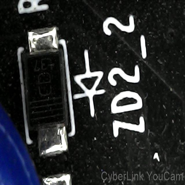 Dataset Image