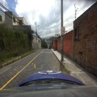Dataset Image