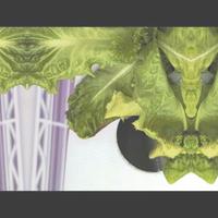 Dataset Image