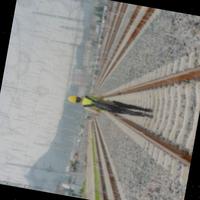 Dataset Image