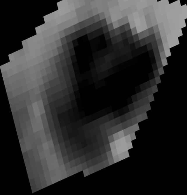 Dataset Image