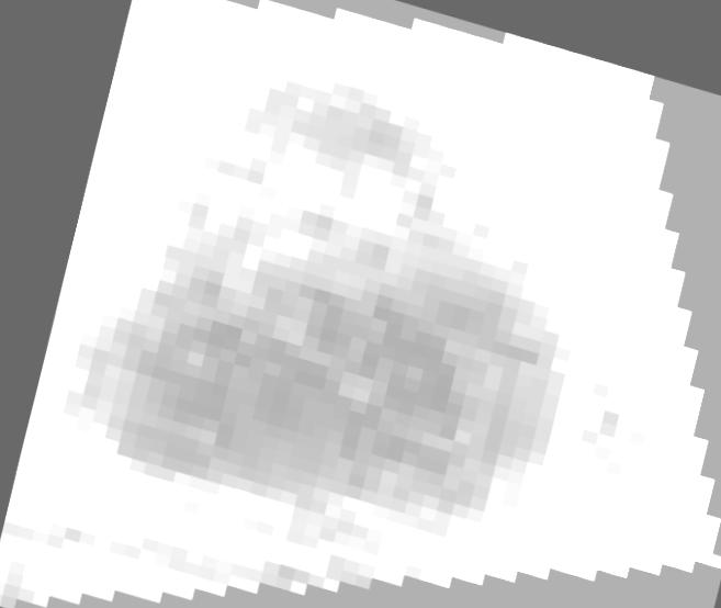 Dataset Image